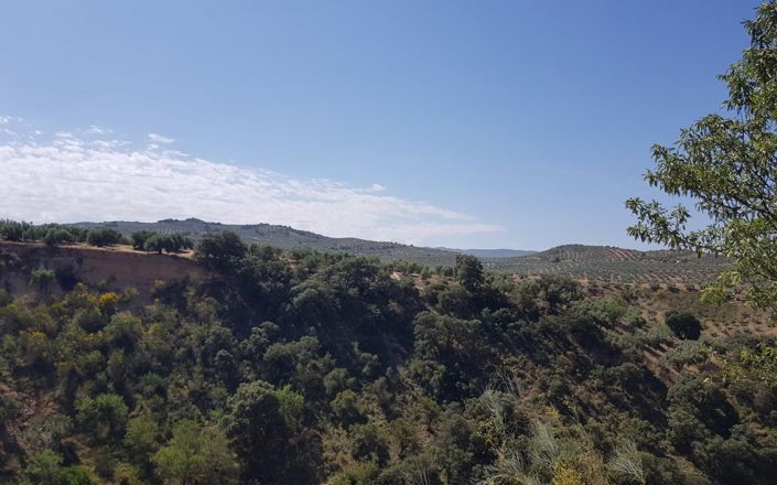 Image No.31-3 Bed House for sale