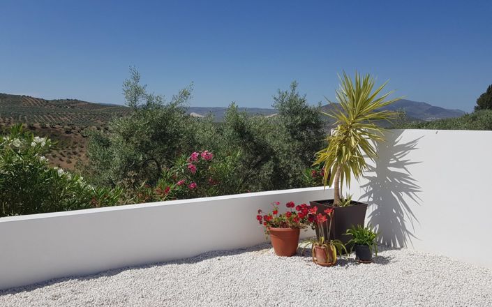 Image No.4-3 Bed House for sale