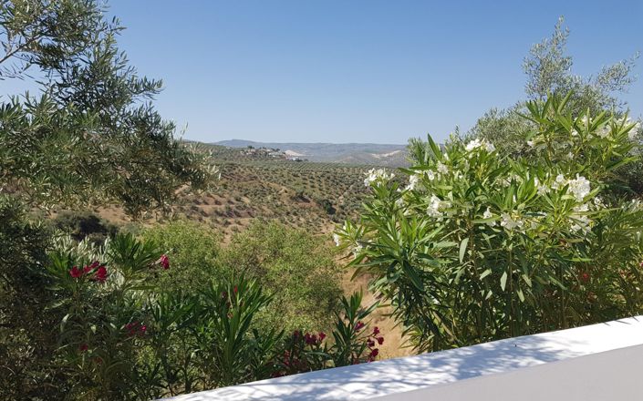 Image No.5-3 Bed House for sale