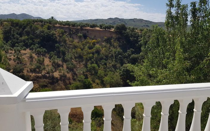 Image No.52-3 Bed House for sale