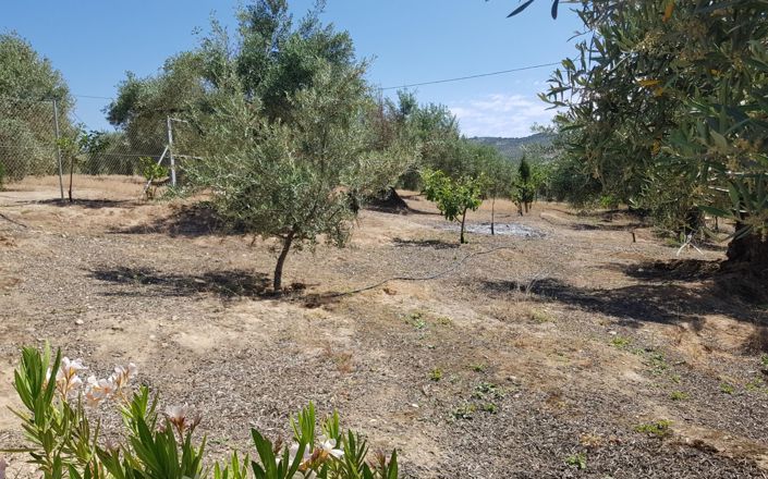 Image No.58-3 Bed House for sale