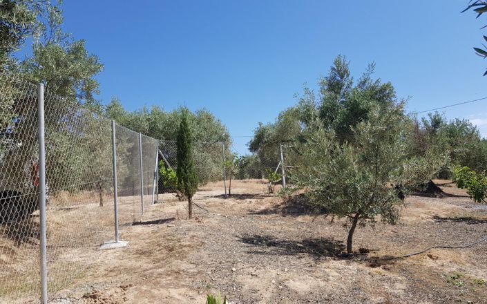 Image No.59-3 Bed House for sale