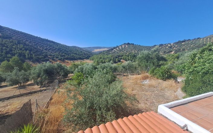 Image No.15-4 Bed House for sale