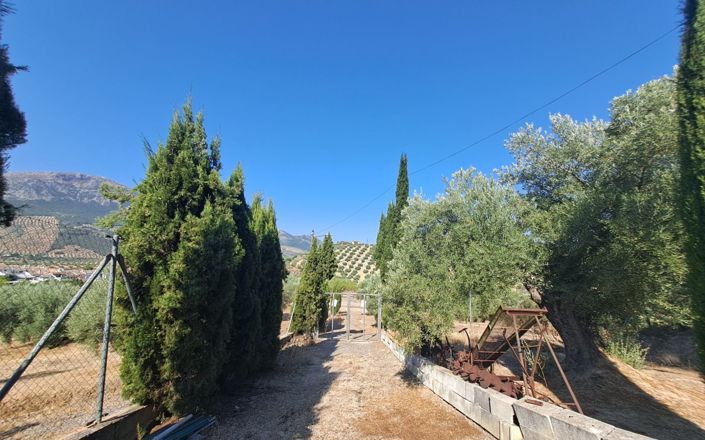 Image No.55-Maison de 2 chambres à vendre à Las Carrasca