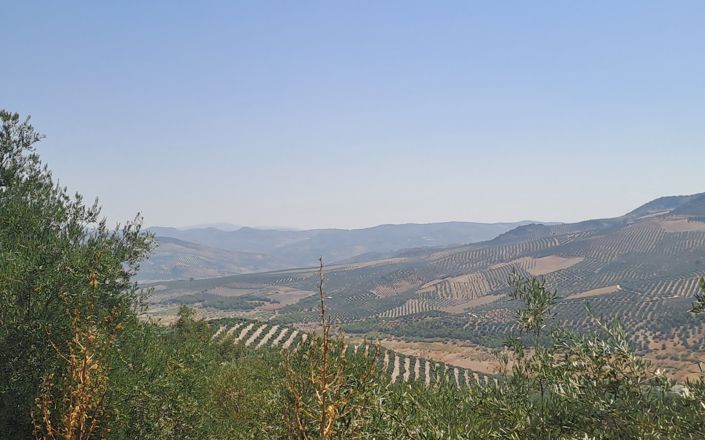 Image No.16-5 Bed House for sale