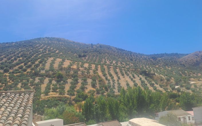 Image No.8-4 Bed House for sale