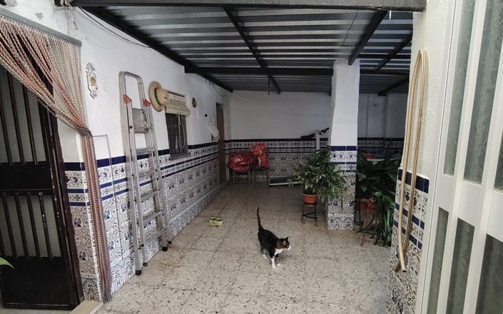 Image No.9-6 Bed House for sale