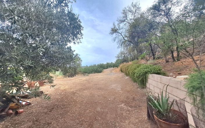 Image No.26-7 Bed House for sale