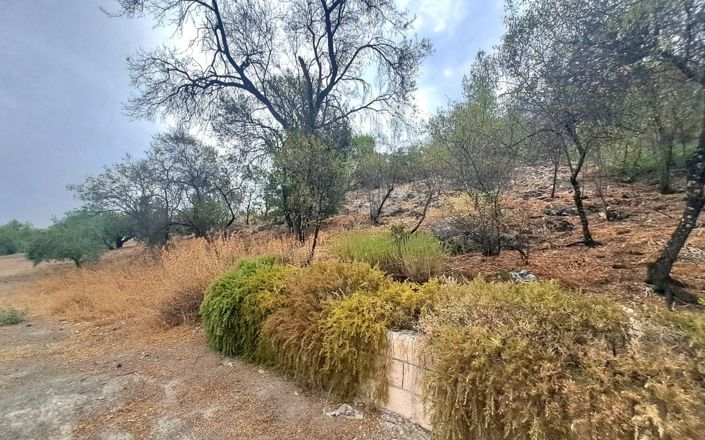 Image No.27-7 Bed House for sale