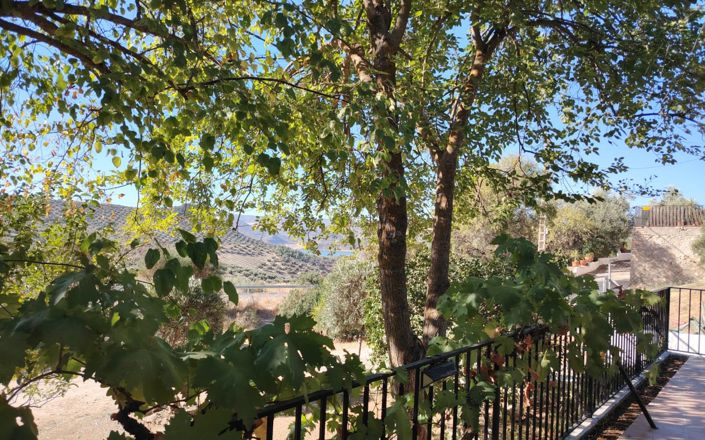 Image No.12-5 Bed House for sale