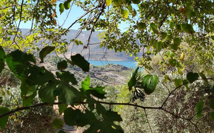 Image No.3-5 Bed House for sale