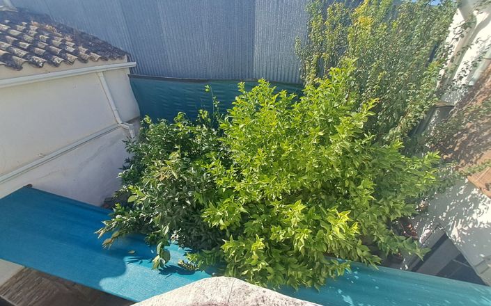 Image No.32-Maison de 5 chambres à vendre à Corcoya