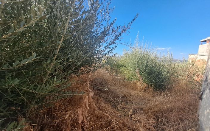 Image No.16-House for sale