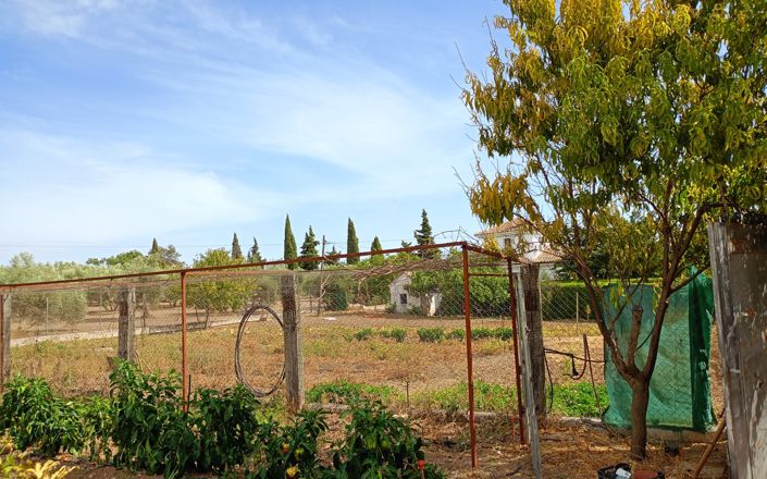 Image No.14-3 Bed House for sale