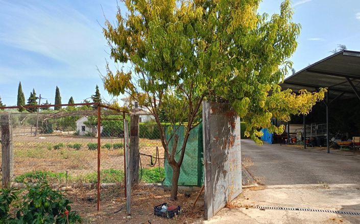 Image No.15-3 Bed House for sale