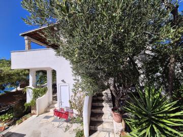 house-for-sake--Sevid_71