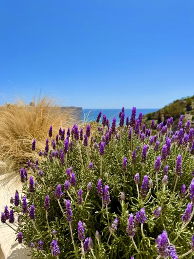 Image No.31-3 Bed Apartment for sale