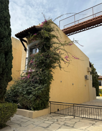 c64e849b-2bff-42df-9cc5-5c2e33ff0e6a