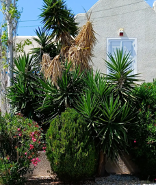 ce267c84-9d87-42af-a39d-cb8e44e3abd2