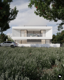 PHOTO-2024-08-07-00-35-50--1-