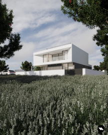 PHOTO-2024-08-07-00-35-51--1-