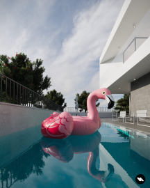 PHOTO-2024-08-07-00-35-51--2-