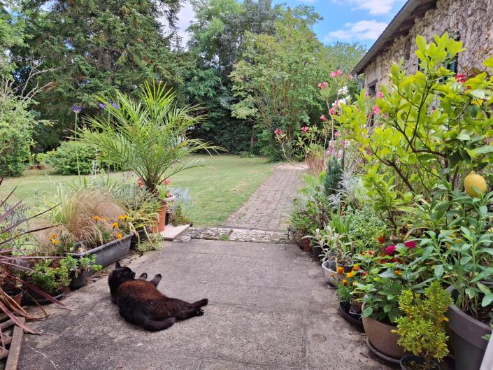 Image No.2-Ferme de 4 chambres à vendre à Sauveterre-de-Guyenne