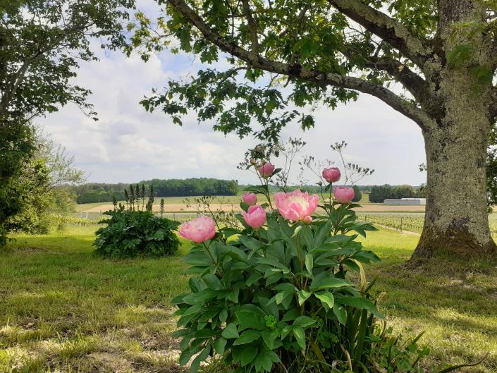 Image No.18-Ferme de 4 chambres à vendre à Sauveterre-de-Guyenne