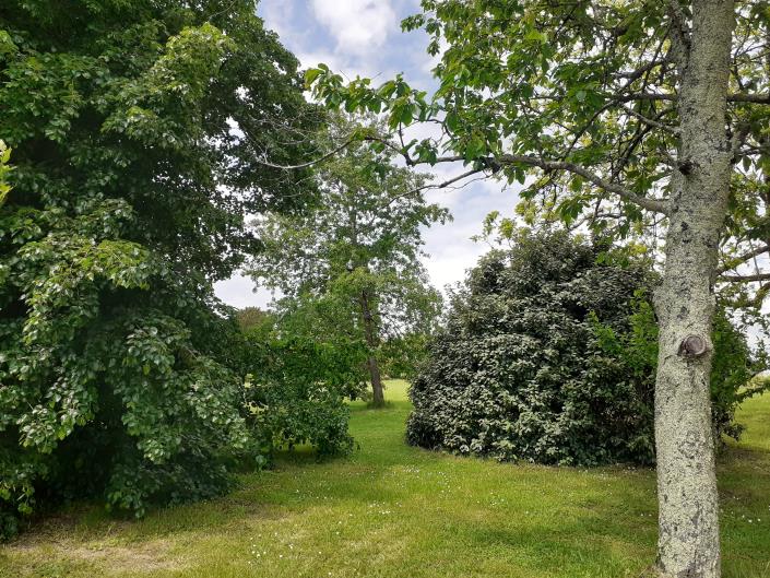 Image No.17-Ferme de 4 chambres à vendre à Sauveterre-de-Guyenne
