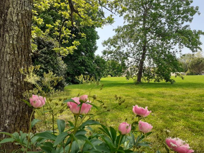 Image No.7-Ferme de 4 chambres à vendre à Sauveterre-de-Guyenne