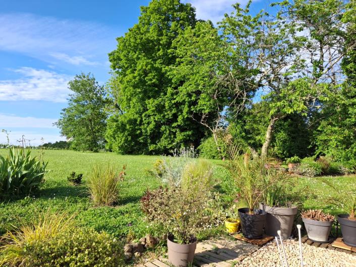Image No.9-Ferme de 4 chambres à vendre à Sauveterre-de-Guyenne