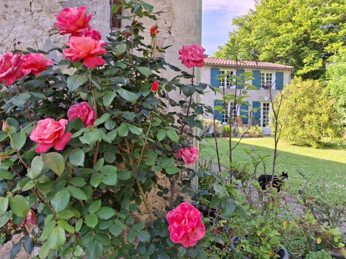 Image No.19-Ferme de 4 chambres à vendre à Sauveterre-de-Guyenne