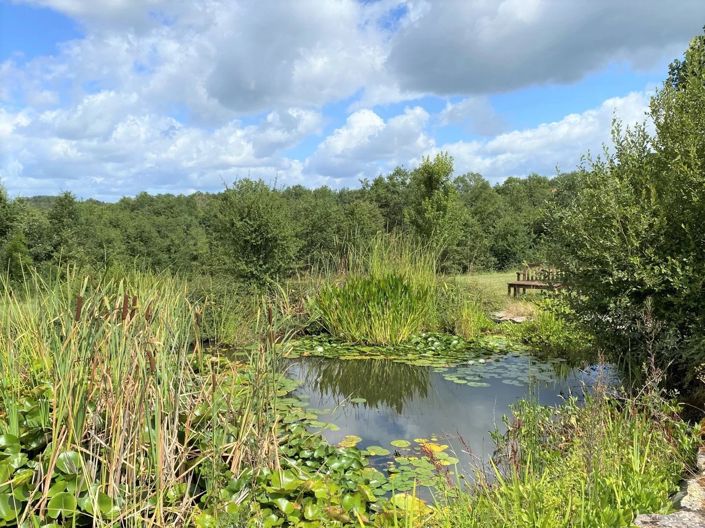 Image No.30-Maison de 6 chambres à vendre à Dégagnac