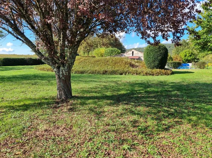 Image No.19-Maison de 3 chambres à vendre à Pescadoires