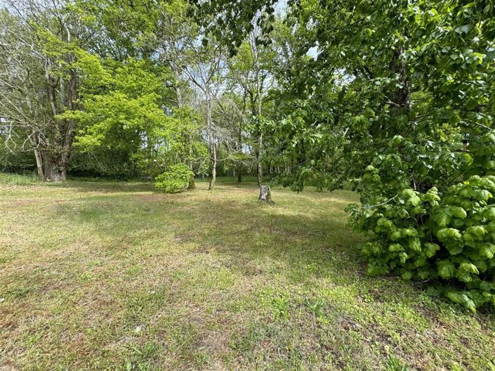 Image No.16-Maison de 4 chambres à vendre à Cazals