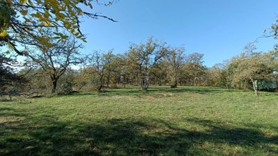 6ea1f74a7c718604f19dd6c60516cee3d996762e83192