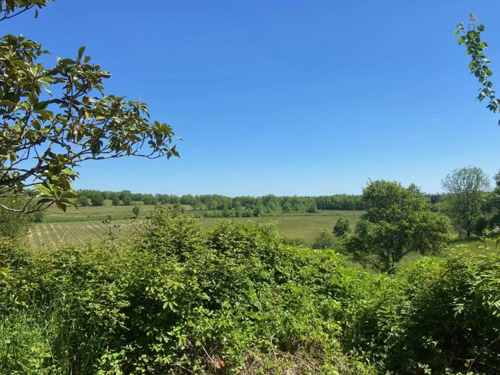 Image No.5-Maison de 4 chambres à vendre à Floressas