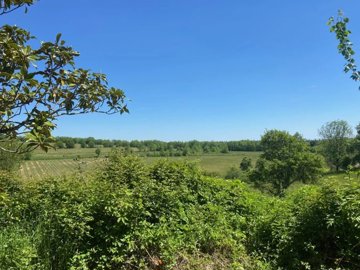 deb081bb64c3ca2e671b5d90dc2e4157433f136100144