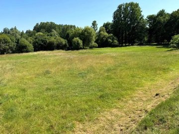 f91b7d53ce036ba74ef8e77525a53659b1910d822e144