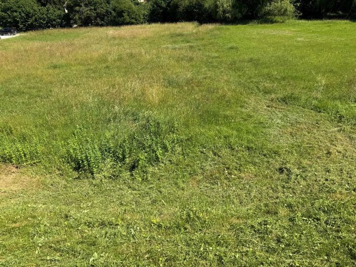 Image No.2-Land for sale