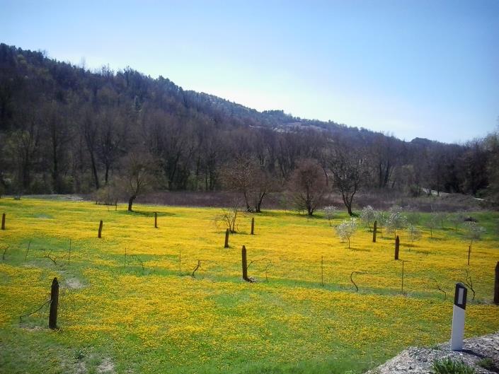 Image No.35-Maison de 3 chambres à vendre à Valtopina