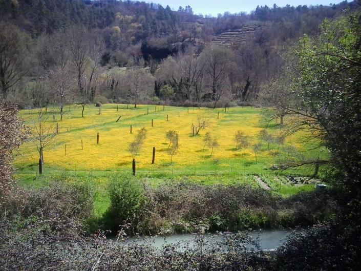 Image No.36-Maison de 3 chambres à vendre à Valtopina