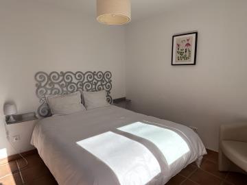 DJI_20241205_133825_436-Large