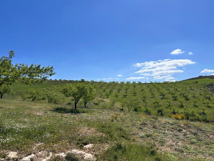 Image No.14-Ferme de 5 chambres à vendre à Santa Cruz del Comercio