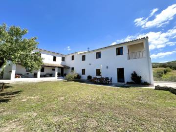 DJI_20250423_124801_020-Large