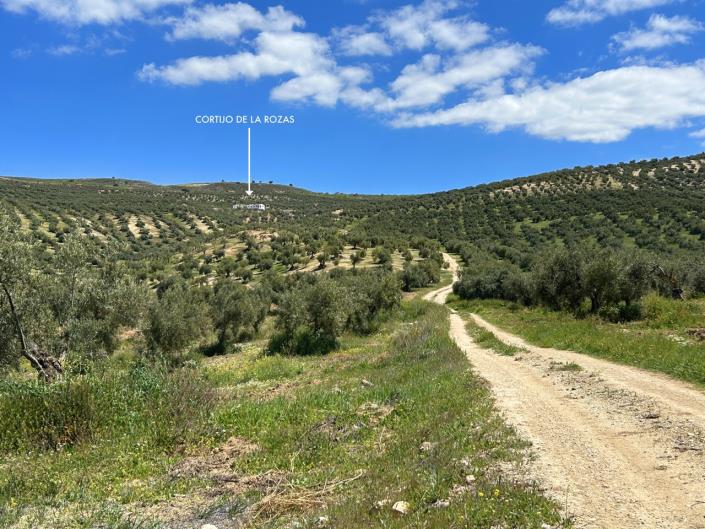 Image No.48-Ferme de 5 chambres à vendre à Santa Cruz del Comercio