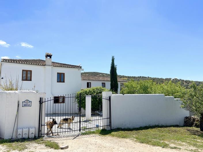 Image No.49-Ferme de 5 chambres à vendre à Santa Cruz del Comercio