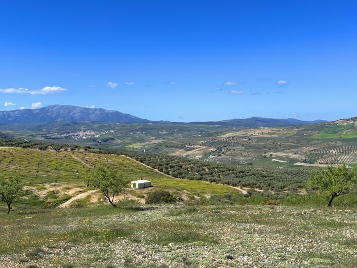 Image No.50-Ferme de 5 chambres à vendre à Santa Cruz del Comercio