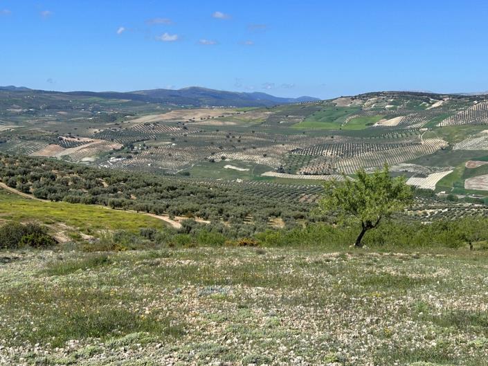 Image No.53-Ferme de 5 chambres à vendre à Santa Cruz del Comercio