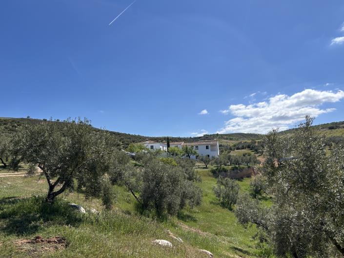 Image No.56-Ferme de 5 chambres à vendre à Santa Cruz del Comercio